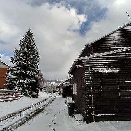 Penzion Apartmany Aninka Mariánská 외부 사진